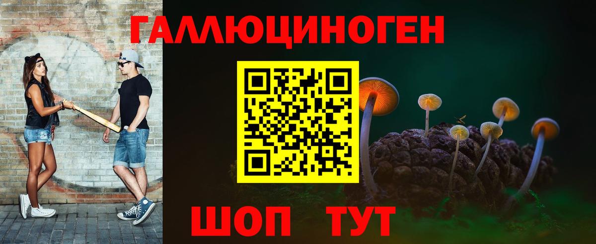 Чебоксары  Псилоцибиновые грибы прущие грибы  Вход с VPN 